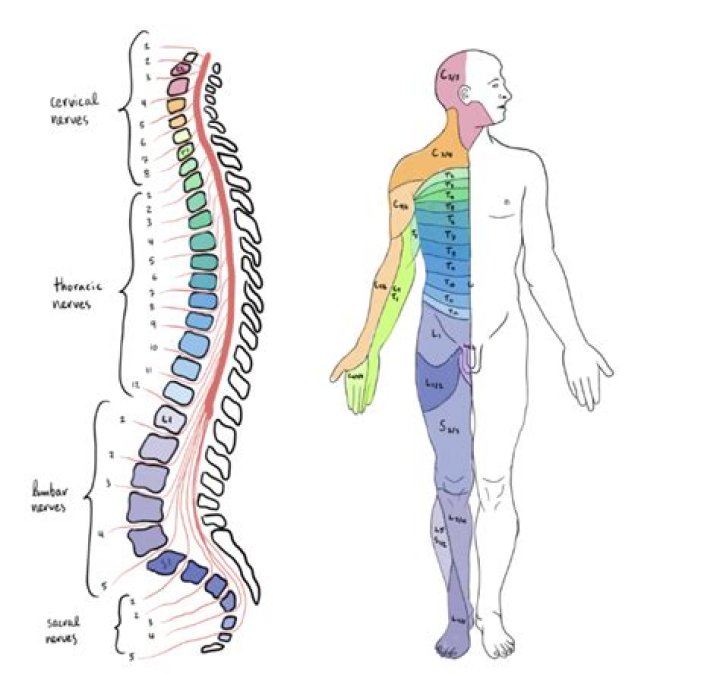 WR Mike Williams Illness And Health At Death 2023: Swelling On Brain And Spinal Cord